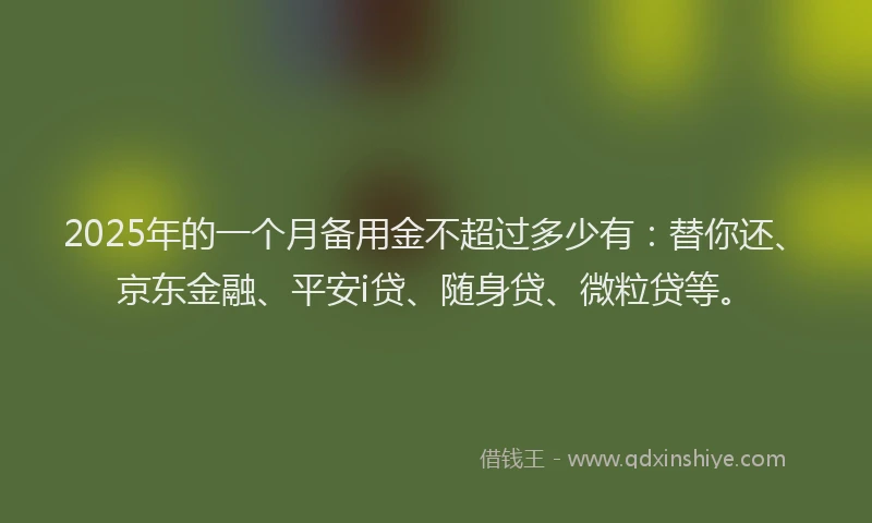 2025年的一个月备用金不超过多少有：替你还、京东金融、平安i贷、随身贷、微粒贷等。