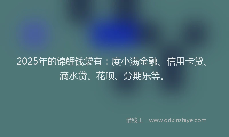 2025年的锦鲤钱袋有：度小满金融、信用卡贷、滴水贷、花呗、分期乐等。
