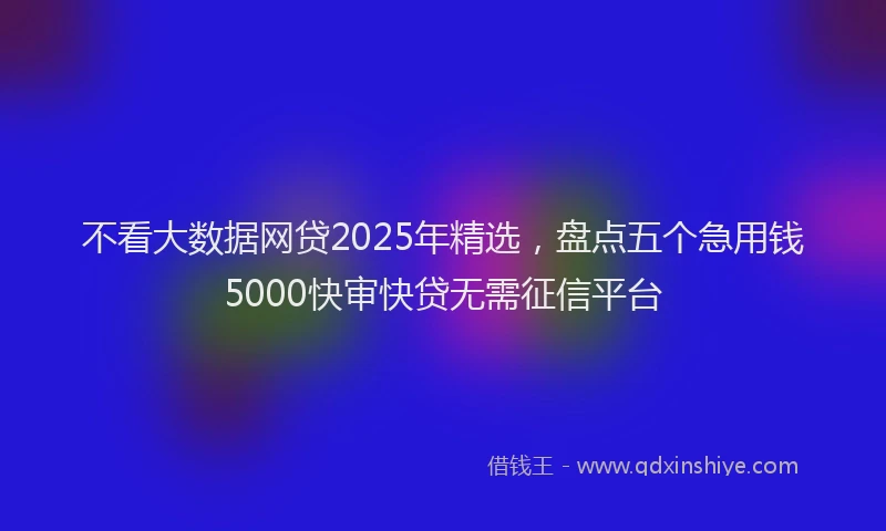不看大数据网贷2025年精选，盘点五个急用钱5000快审快贷无需征信平台