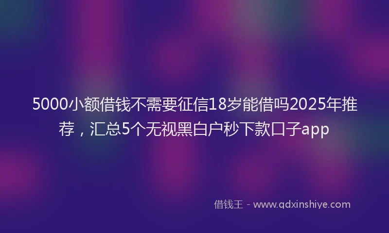 5000小额借钱不需要征信18岁能借吗2025年推荐，汇总5个无视黑白户秒下款口子app
