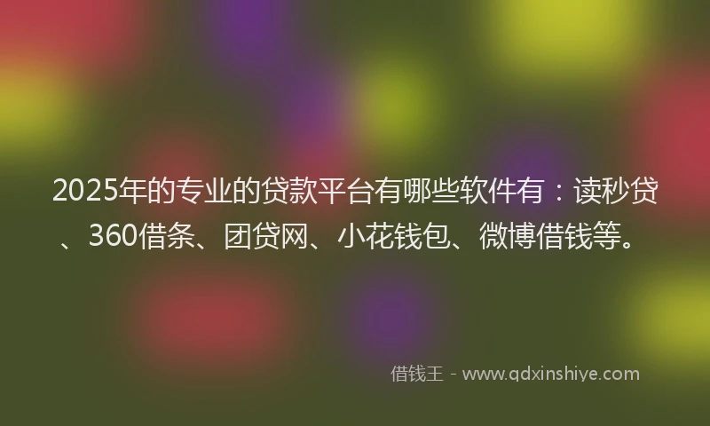 2025年的专业的贷款平台有哪些软件有：读秒贷、360借条、团贷网、小花钱包、微博借钱等。