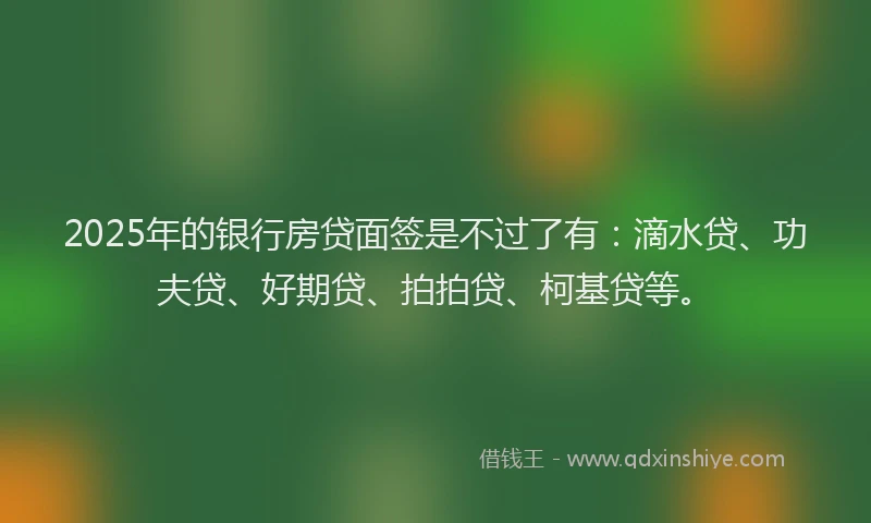 2025年的银行房贷面签是不过了有：滴水贷、功夫贷、好期贷、拍拍贷、柯基贷等。