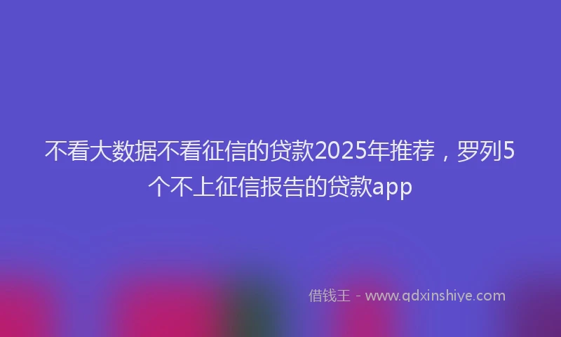 不看大数据不看征信的贷款2025年推荐，罗列5个不上征信报告的贷款app