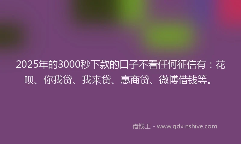 2025年的3000秒下款的口子不看任何征信有：花呗、你我贷、我来贷、惠商贷、微博借钱等。
