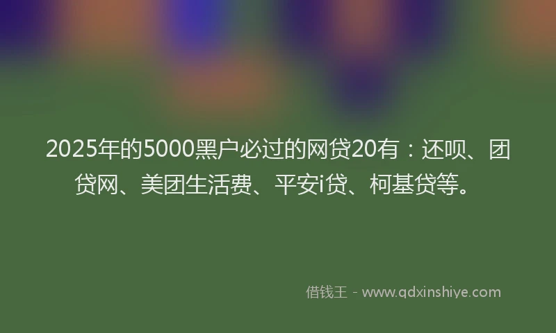 2025年的5000黑户必过的网贷20有：还呗、团贷网、美团生活费、平安i贷、柯基贷等。