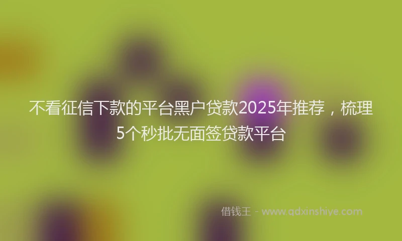 不看征信下款的平台黑户贷款2025年推荐，梳理5个秒批无面签贷款平台