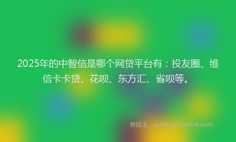 2025年的中智信是哪个网贷平台有：投友圈、维信卡卡贷、花呗、东方汇、省呗等。