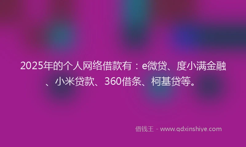 2025年的个人网络借款有：e微贷、度小满金融、小米贷款、360借条、柯基贷等。