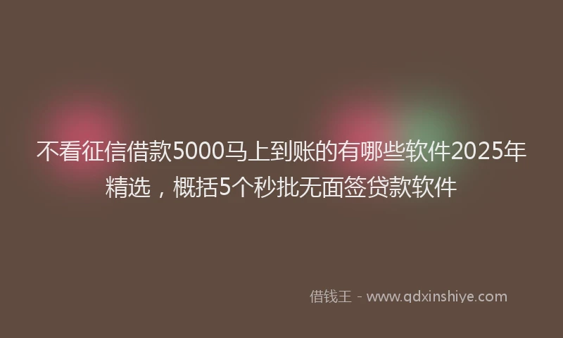不看征信借款5000马上到账的有哪些软件2025年精选，概括5个秒批无面签贷款软件