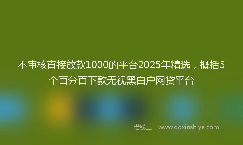 不审核直接放款1000的平台2025年精选，概括5个百分百下款无视黑白户网贷平台