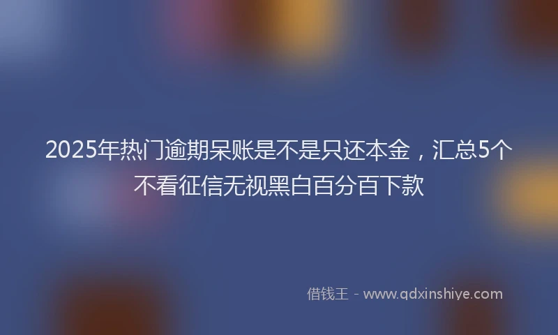2025年热门逾期呆账是不是只还本金，汇总5个不看征信无视黑白百分百下款