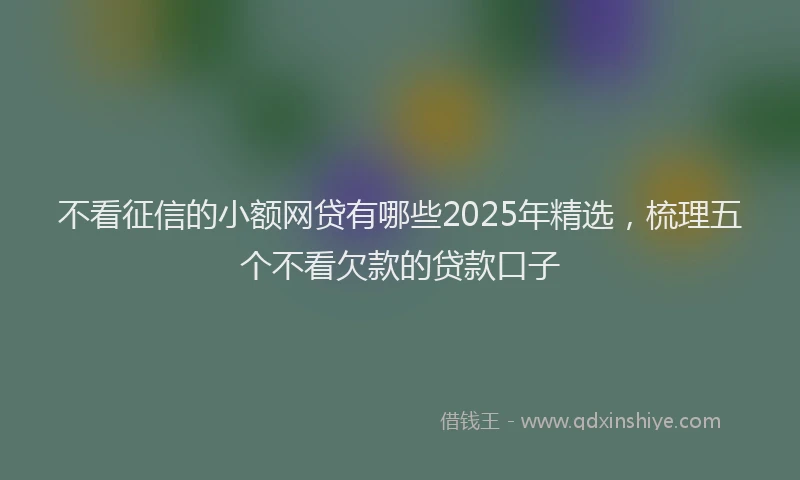 不看征信的小额网贷有哪些2025年精选，梳理五个不看欠款的贷款口子