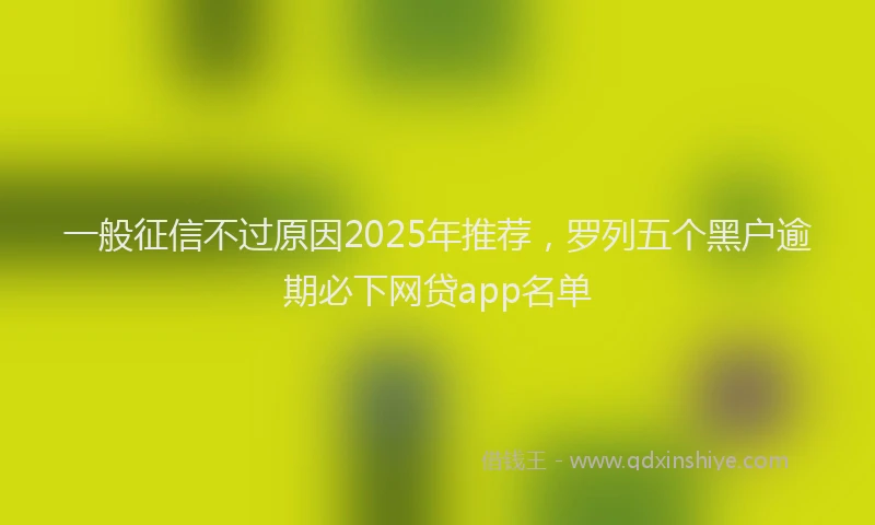 一般征信不过原因2025年推荐，罗列五个黑户逾期必下网贷app名单