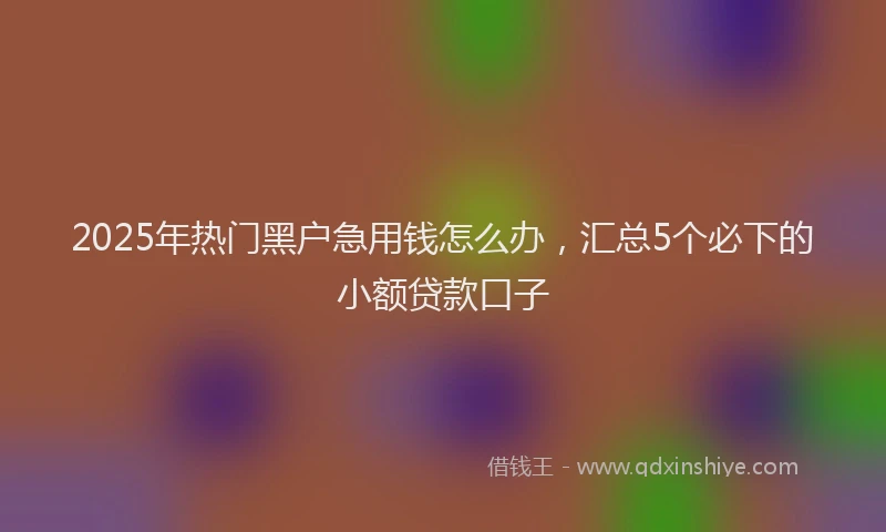2025年热门黑户急用钱怎么办，汇总5个必下的小额贷款口子