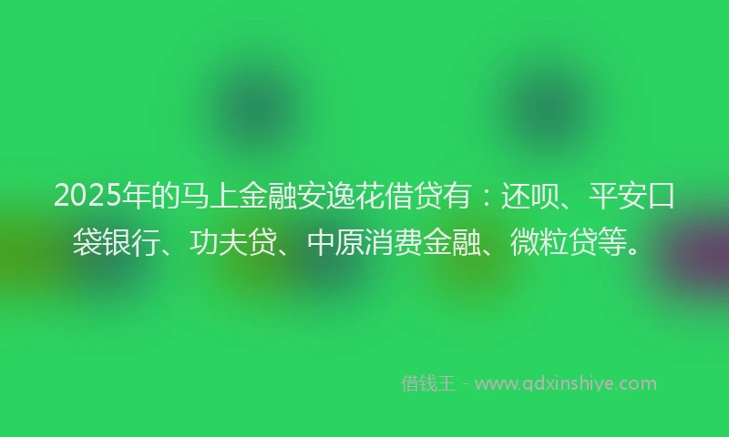2025年的马上金融安逸花借贷有：还呗、平安口袋银行、功夫贷、中原消费金融、微粒贷等。