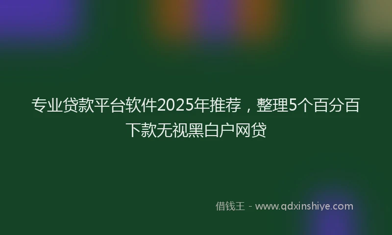 专业贷款平台软件2025年推荐，整理5个百分百下款无视黑白户网贷