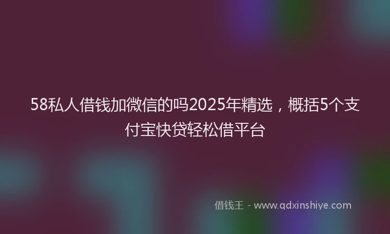 58私人借钱加微信的吗2025年精选，概括5个支付宝快贷轻松借平台