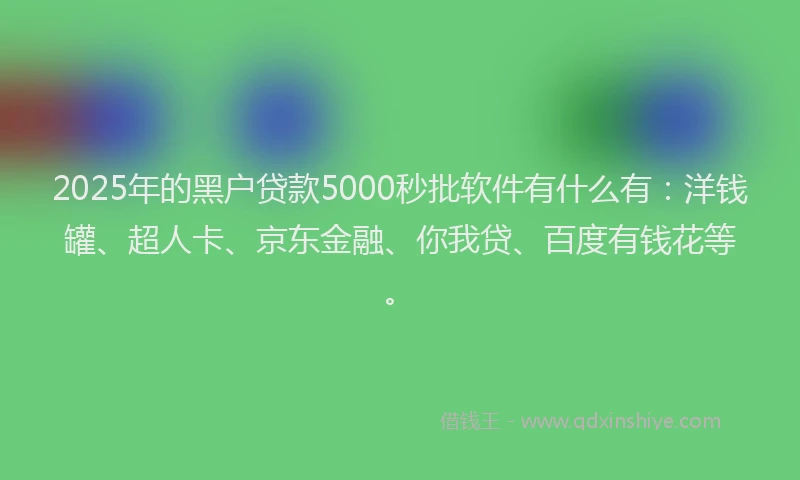 2025年的黑户贷款5000秒批软件有什么有：洋钱罐、超人卡、京东金融、你我贷、百度有钱花等。