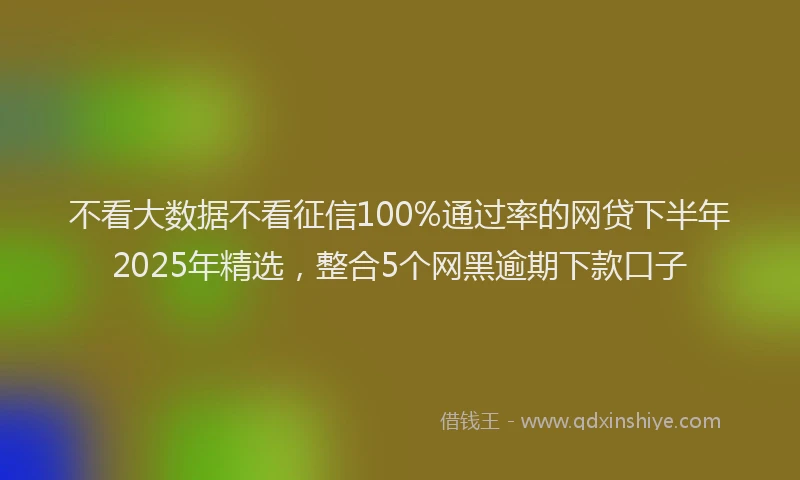 不看大数据不看征信100%通过率的网贷下半年2025年精选，整合5个网黑逾期下款口子