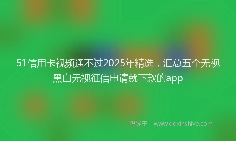 51信用卡视频通不过2025年精选，汇总五个无视黑白无视征信申请就下款的app