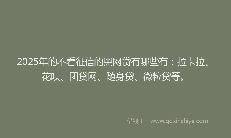 2025年的不看征信的黑网贷有哪些有：拉卡拉、花呗、团贷网、随身贷、微粒贷等。