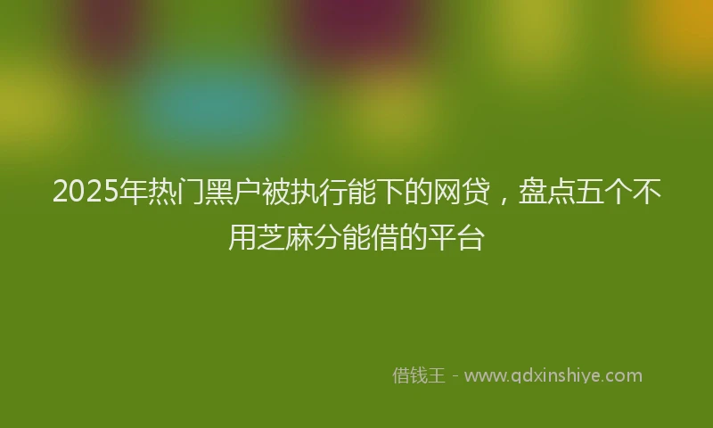 2025年热门黑户被执行能下的网贷，盘点五个不用芝麻分能借的平台