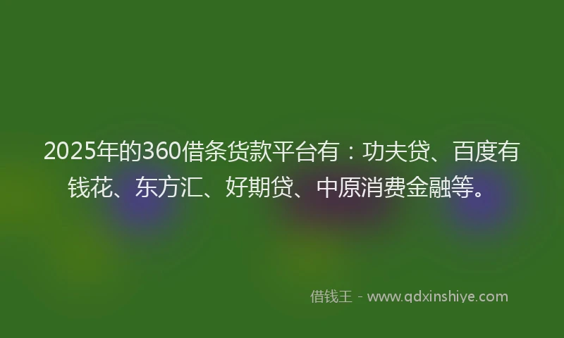2025年的360借条货款平台有：功夫贷、百度有钱花、东方汇、好期贷、中原消费金融等。