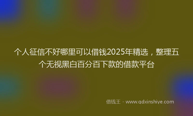 个人征信不好哪里可以借钱2025年精选，整理五个无视黑白百分百下款的借款平台