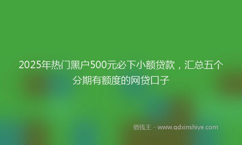 2025年热门黑户500元必下小额贷款，汇总五个分期有额度的网贷口子