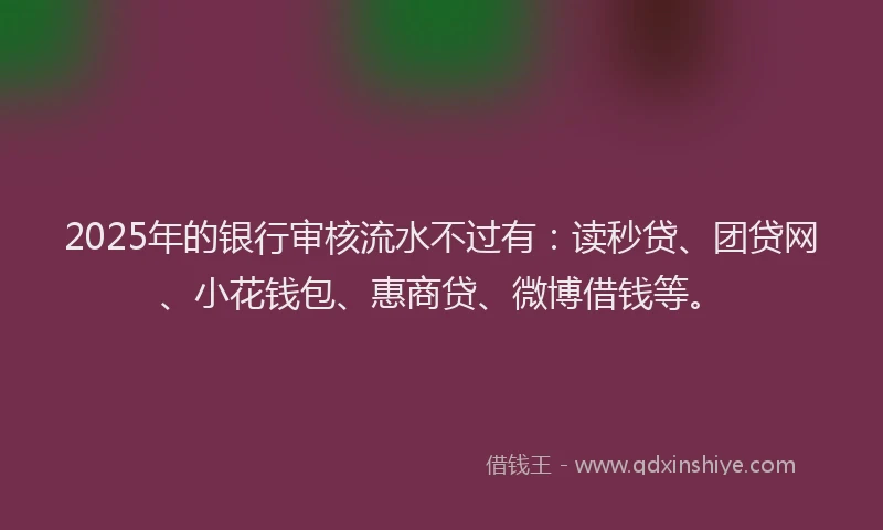 2025年的银行审核流水不过有：读秒贷、团贷网、小花钱包、惠商贷、微博借钱等。
