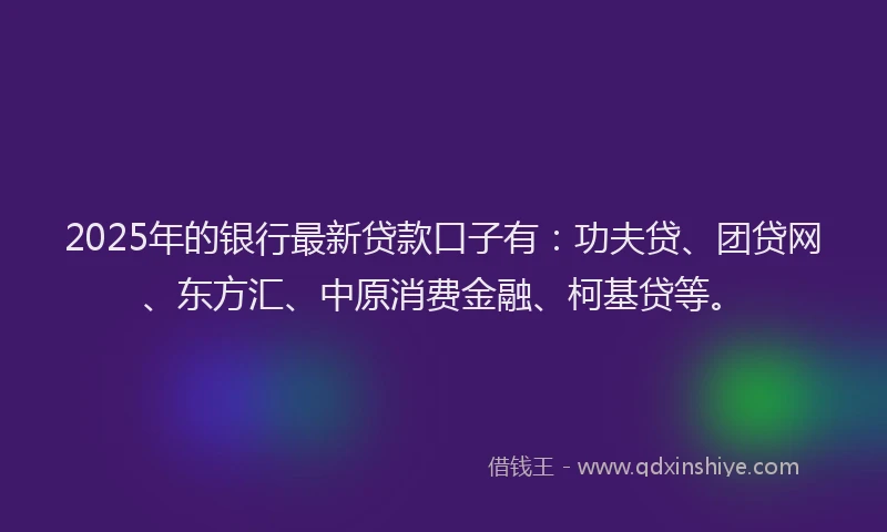 2025年的银行最新贷款口子有：功夫贷、团贷网、东方汇、中原消费金融、柯基贷等。