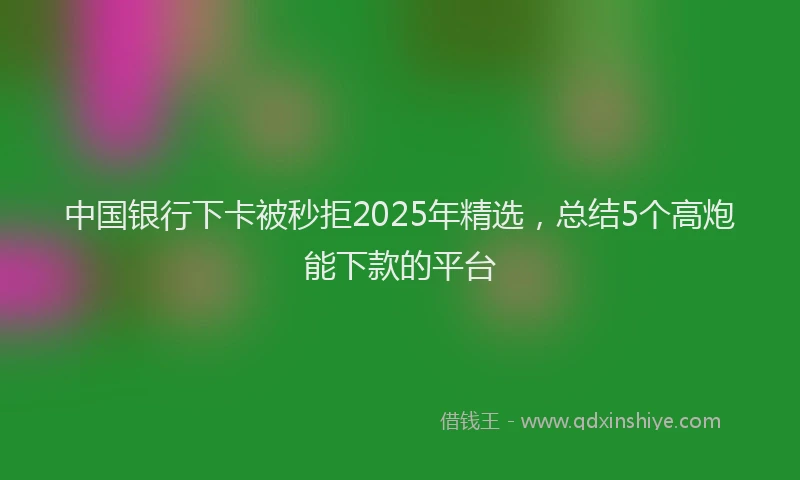 中国银行下卡被秒拒2025年精选，总结5个高炮能下款的平台