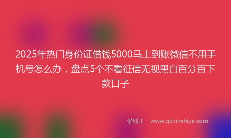 2025年热门身份证借钱5000马上到账微信不用手机号怎么办，盘点5个不看征信无视黑白百分百下款口子