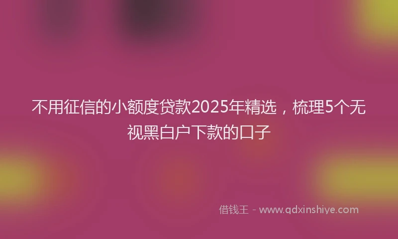 不用征信的小额度贷款2025年精选，梳理5个无视黑白户下款的口子