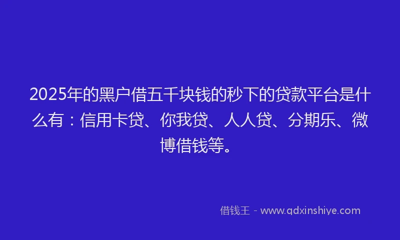 2025年的黑户借五千块钱的秒下的贷款平台是什么有：信用卡贷、你我贷、人人贷、分期乐、微博借钱等。