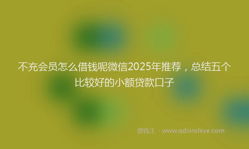 不充会员怎么借钱呢微信2025年推荐，总结五个比较好的小额贷款口子