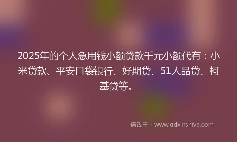 2025年的个人急用钱小额贷款千元小额代有：小米贷款、平安口袋银行、好期贷、51人品贷、柯基贷等。