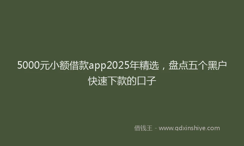 5000元小额借款app2025年精选，盘点五个黑户快速下款的口子