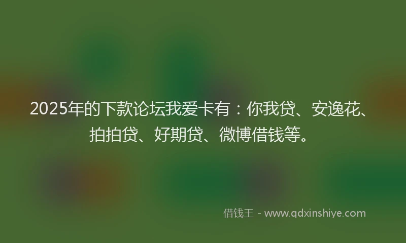 2025年的下款论坛我爱卡有：你我贷、安逸花、拍拍贷、好期贷、微博借钱等。