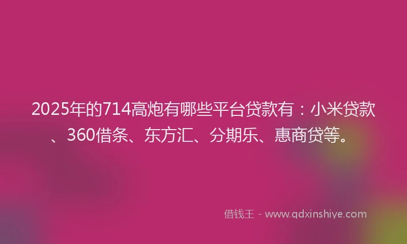 2025年的714高炮有哪些平台贷款有：小米贷款、360借条、东方汇、分期乐、惠商贷等。