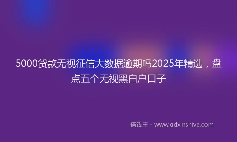5000贷款无视征信大数据逾期吗2025年精选，盘点五个无视黑白户口子