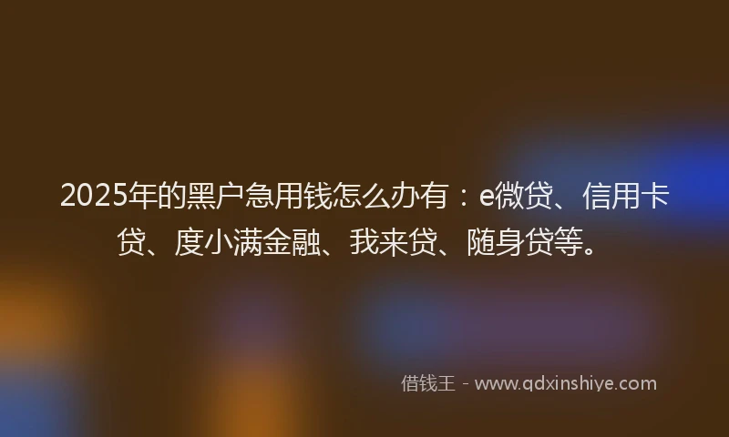 2025年的黑户急用钱怎么办有：e微贷、信用卡贷、度小满金融、我来贷、随身贷等。