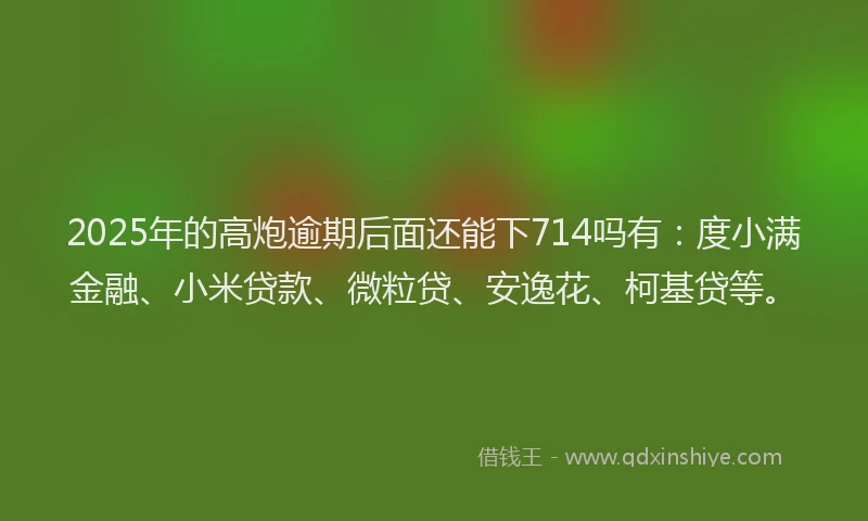 2025年的高炮逾期后面还能下714吗有：度小满金融、小米贷款、微粒贷、安逸花、柯基贷等。