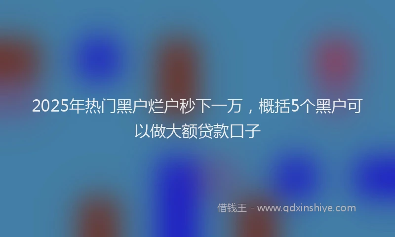 2025年热门黑户烂户秒下一万，概括5个黑户可以做大额贷款口子
