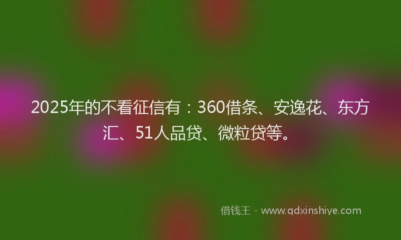 2025年的不看征信有：360借条、安逸花、东方汇、51人品贷、微粒贷等。