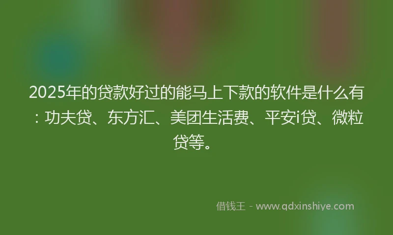 2025年的贷款好过的能马上下款的软件是什么有：功夫贷、东方汇、美团生活费、平安i贷、微粒贷等。