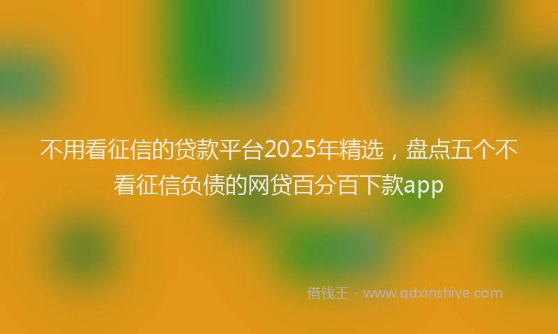 不用看征信的贷款平台2025年精选，盘点五个不看征信负债的网贷百分百下款app