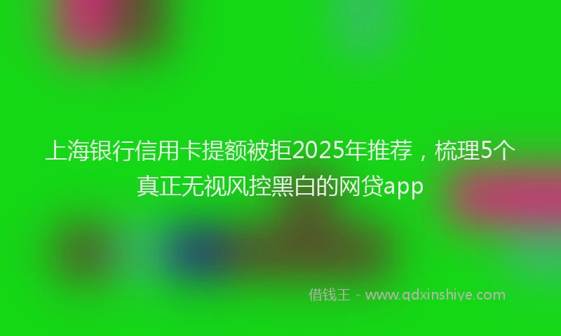上海银行信用卡提额被拒2025年推荐，梳理5个真正无视风控黑白的网贷app