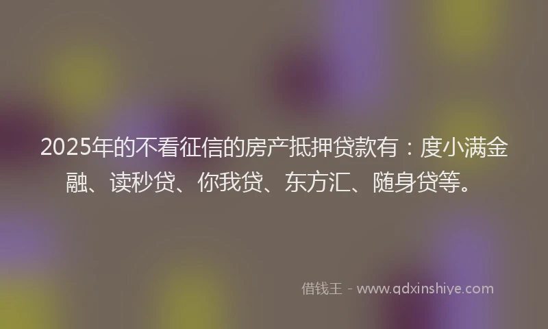 2025年的不看征信的房产抵押贷款有：度小满金融、读秒贷、你我贷、东方汇、随身贷等。
