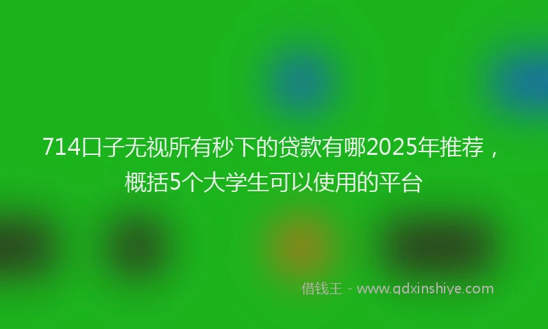 714口子无视所有秒下的贷款有哪2025年推荐，概括5个大学生可以使用的平台